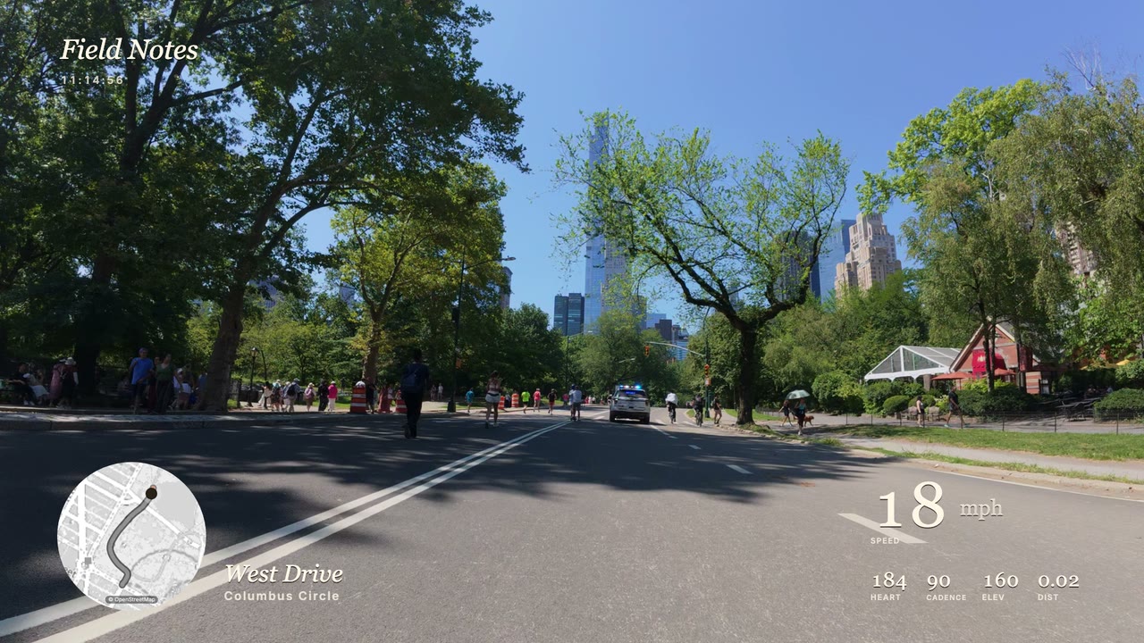 Journal look: gauges over a Central Park bike ride